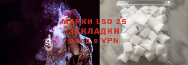 ГАЛЛЮЦИНОГЕННЫЕ ГРИБЫ Новозыбков