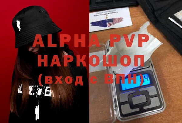индика Новокубанск