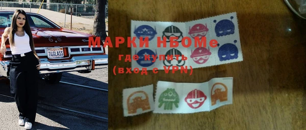 индика Новокубанск